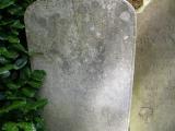 image of grave number 46511
